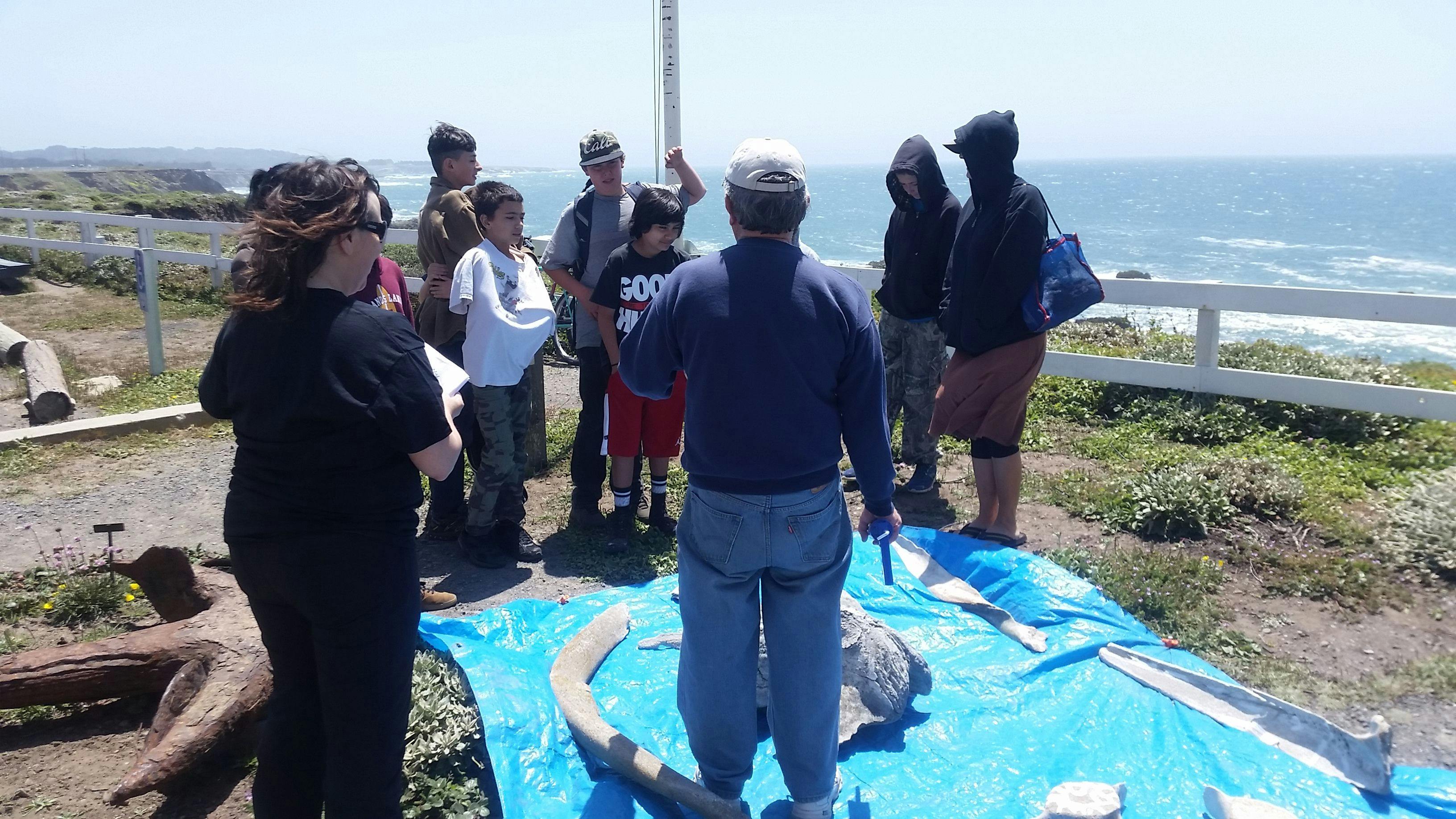 Volunteers restoring whale skeleton