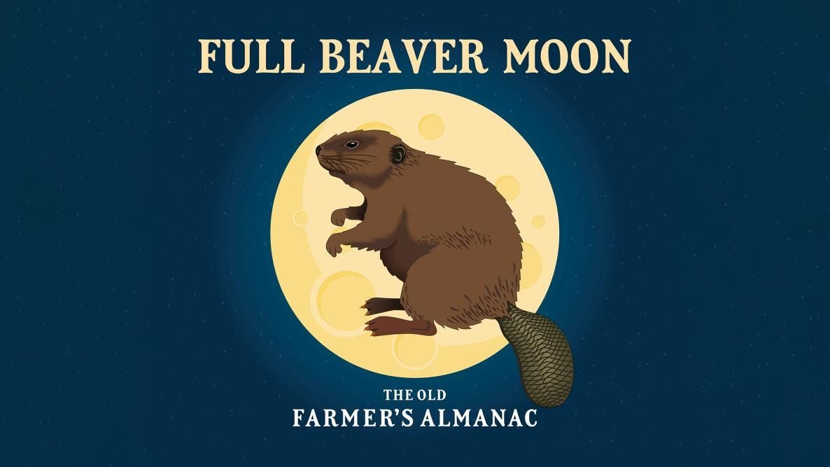 (almost) Full Beaver Moon Night Tour