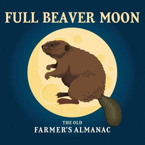 (almost) Full Beaver Moon Night Tour cover image