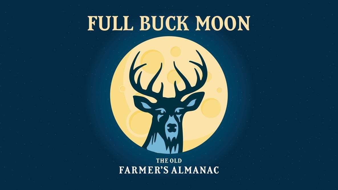 (almost) Full Buck Moon Night Tour