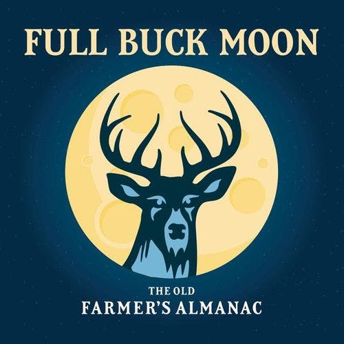 (almost) Full Buck Moon Night Tour cover image