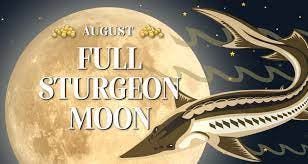 (almost) Full Sturgeon Moon Night Tour